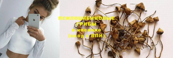 тгк Бугульма