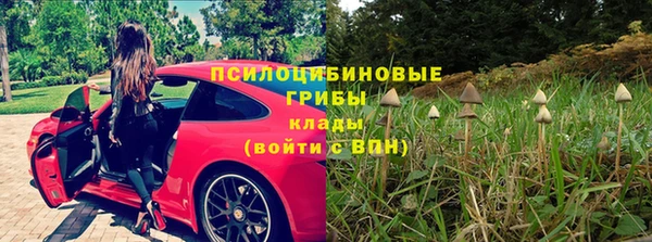 бутират Верхний Тагил